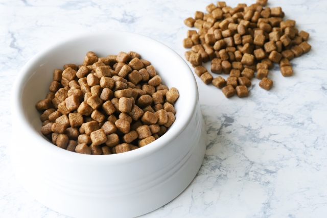 ドッグフード入荷のお知らせ